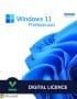 Microsoft Windows 11 Professional Retail Key
