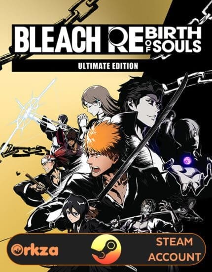 BLEACH rebirth of souls edizione definitiva account Steam